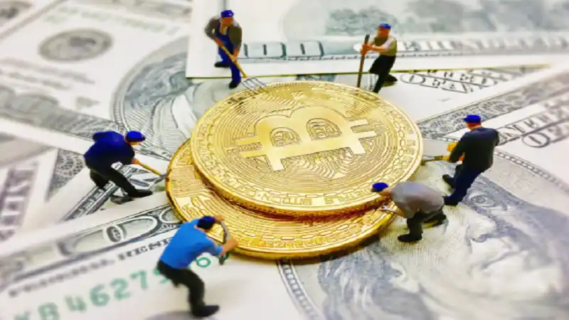 Cryptopia Craigscottcapital Crypto Guide