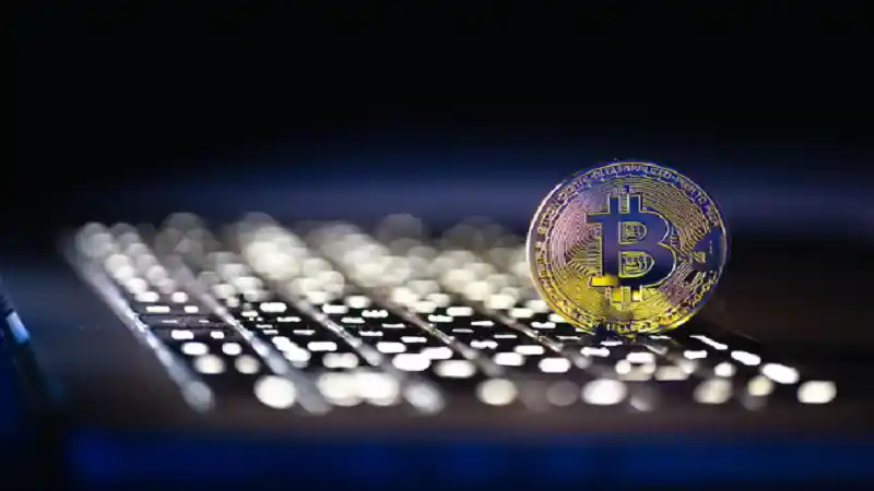 cryptopia news craigscottcapital