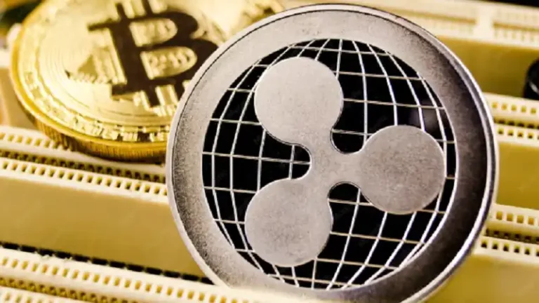 craigscottcapital cryptopia news